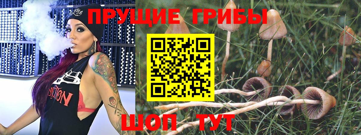 Меф МЯУ МЯУ   Кокаин  ГАШ  Дагестанские Огни  ГАШ  Марихуана  ГЕРОИН  Вход с VPN  А ПВП СК  